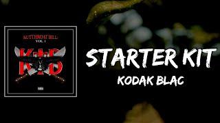 Kodak Black - Starter Kit Lyrics ft VVSNCE