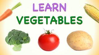 Learn Vegetables | Kids Fun Learning | Learn Vocabulary