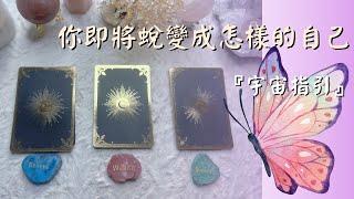 塔羅占你即將蛻變成怎樣的自己？『宇宙指引訊息『不限時間』＃宇宙指引訊息 ＃能量占卜
