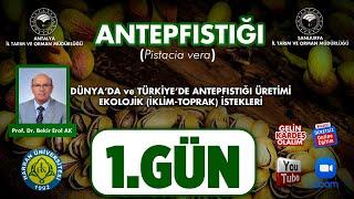 Antepfıstığı Yetiştiriciliği 1- Pistacia vera- Dünyada ve Türkiye’de Üretimi, Ekolojik İstekle 1.Gün
