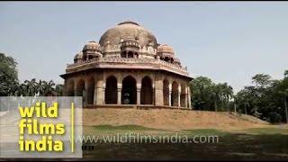 Crazy canvases: the story of dustbin art in Lodi Gardens