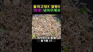 딱딱하게 굳지 않고 고소한 멸치 볶음은 이렇 만듭니다‼️