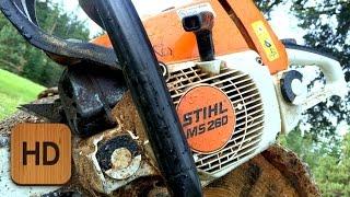 What Chainsaw Is Right For You?