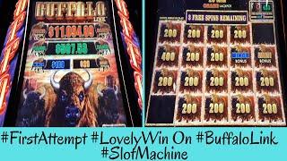 First Attempt LOVELY WIN On BUFFALO LINK Slot Machine - SunFlower Slots