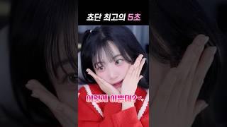 [QWER] ?? : 쵸단님! 5초만 사귀어주세요!!
