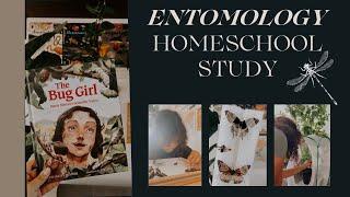 Homeschool Unit Study I Entomology I How we collect specimens