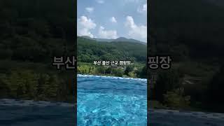 당일치기 가능한 부산 울산 근교 캠핑장 카바나 추천