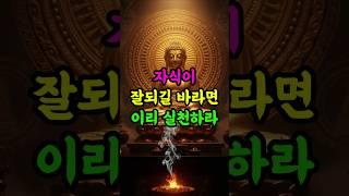 자식이 잘되길 바라거든 반드시 이렇게 하라 #부처님말씀 #자식운 #공덕 #불교 #지혜