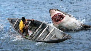 Shark Attack on Fishing Boat 8 | A great White Shark Attack Short Movie