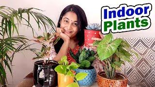 Best Indoor Plants | Part 2 | Low Light Indoor Plants | Best Air purifier plants | #gardening #plant