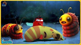  LARVA FULL EPISODE | THE BEST OF FUNNY CARTOON | CARTOONS MOVIES NEW VERSION | TRY NOT TO LAUGH