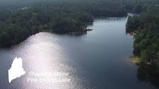 Pine Springs Lake in Shapleigh | Maine