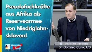 Pseudofachkräfte aus Afrika! - Dr. Gottfried Curio - AfD-Fraktion im Bundestag