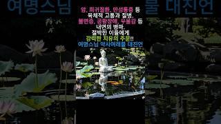 여명스님 약사여래불 대진언 쇼츠2