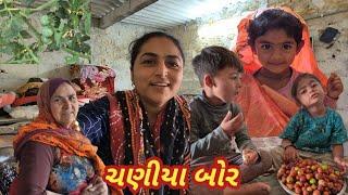 તલ નું વાવેતર ચણીયા બોર લેવા tal nu vavetar chaniya bor leva #villagelife