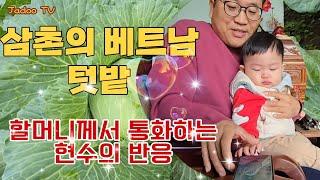 외삼촌의 베트남 텃밭은 열심히 해서 너무 예뻐요 ~ 베트남와서 할머니랑 처음 통화하는 현수의 반응