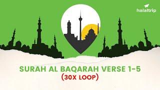 Surah Baqarah First 5 verses I 30x Loop