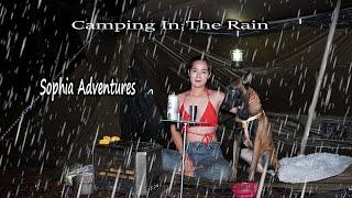 Camping In The Rain With My Dog -  Relaxing In Tent With Sound Of Rain - Sophia Adventures