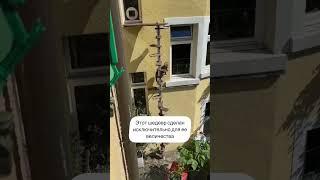 Ее величество