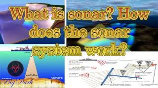 What is sonar? How does the sonar system work?