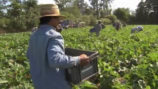 Michigan Farm Family Delivers Fresh Produce - America's Heartland