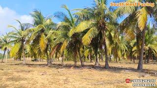  142345 lakh Prime Beach Farmland For Sale Chennai ECRMugaiyur AMET COLLEGE️TTDC RESORT️MR.ASHI