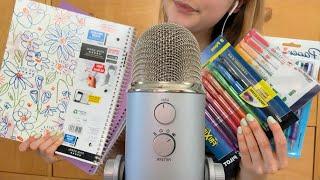 ASMR Back To School Supplies Haul 2024️