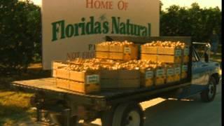 About Florida's Natural Growers