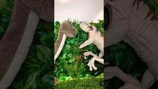 Brachiosaurus Vs Dinosaurs #dinosaurs #dinosaurtoys