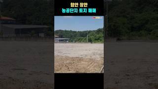 함안 장암농공단지 공시지가 공장부지 매매