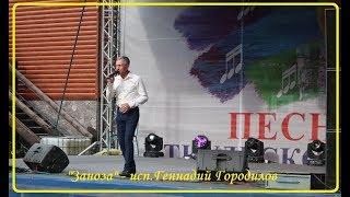 "Заноза" - Геннадий Городилов