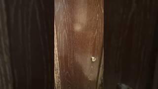 Secret Valley Door Reveal  Inside Waldorf Astoria!