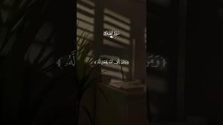 تلاوة جميلة جدا ل سعد الغامدي 🩶 // ومن يتق الله يجعل له من امره يسرا 🩶