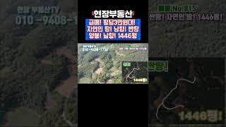 자연인 땅 양봉 남향 양지 땅 싼땅 #sorts #현장부동산 #자연인땅 #싼땅 #양봉 #가대리