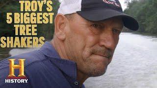 Swamp People: TROY'S BIGGEST TREE SHAKERS *5 MASSIVE GATORS* (Part 1) | History