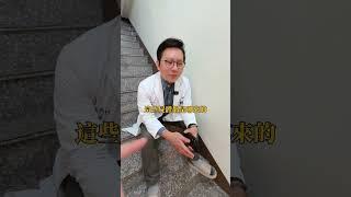 以前解剖過屍體嗎？