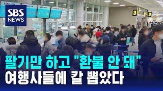 팔기만 하고 "환불 안 돼"…여행사들에 칼 뽑았다 / SBS