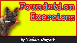 Foundation Exercises for IGP (aka. IPO or Schutzhund) Dog Training - by Tobias Oleynik