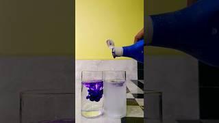 SCIENCE EXPERIMENTS: easy science experiments To do at home #shorts #youtubeshorts #viral #science