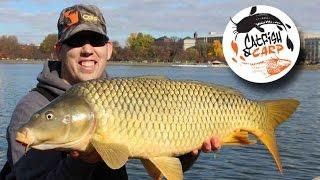 How to catch carp - carp fishing tips and techniques - carp bait