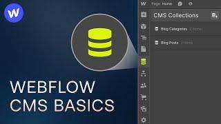 Webflow CMS Tutorial for Beginners