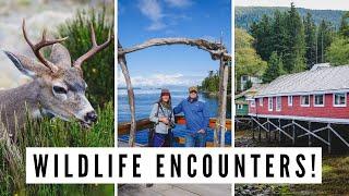 NORTH VANCOUVER ISLAND TRIP | Visiting Port Hardy + Port McNeill + Telegraph Cove, BC