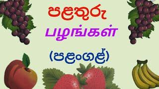 Tamil language learning|| Learn Tamil in Sinhala || Fruits