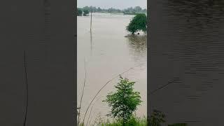 Heavy rainfall in Malwa region  #punjab #faridkot#arjun Dhillon