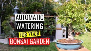 Automatic Watering System - Watering Bonsai part 2