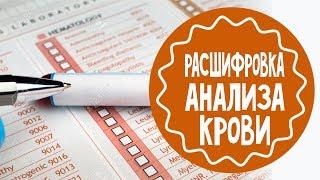 Как расшифровать анализ крови ребенка