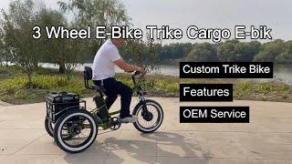 3 Wheel E-Bike Trike Cargo E-bike | Electric Fat Wheeled Trike Bike - Features and How To Ride