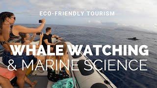 ECO: Whale Watching & Marine Science tour - Tenerife