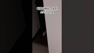 화장실에서 나는 수상한 소리(반려견 도도)