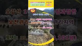 (급매) 충주시 앙성면 모점리 토지 10,101평 (협의가능)